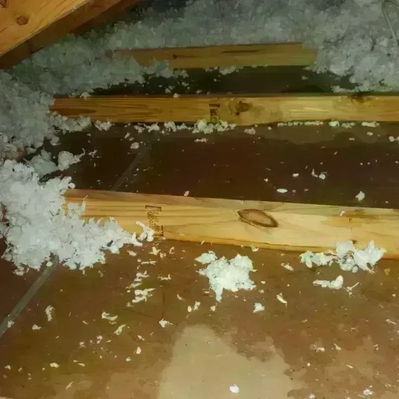 Attic Water Damage in Loretto, TN